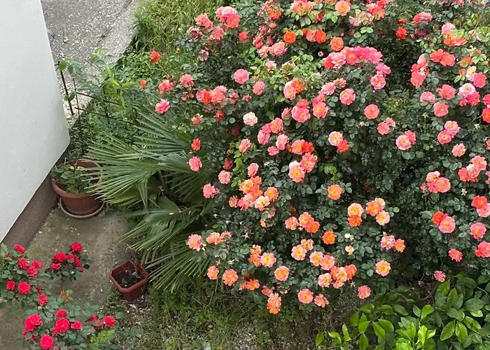 Old Stone Διαμέρισμα Μόσταρ